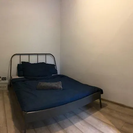Gekkon 卡托维兹